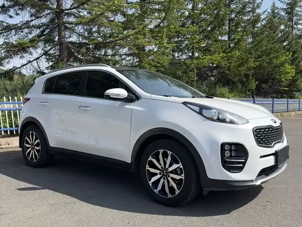 Kia KX5 1.6T Auto 2WD Premium, фото 3