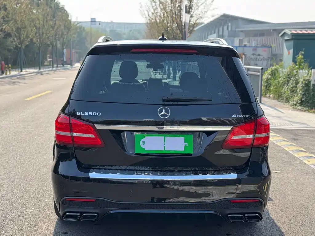 Mercedes-Benz GLS GLS 400 4MATIC Dynamic Type, фото 5
