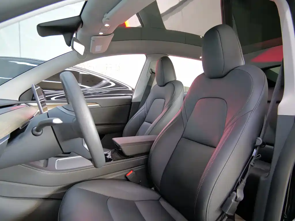 Tesla Model Y — миниатюра 17