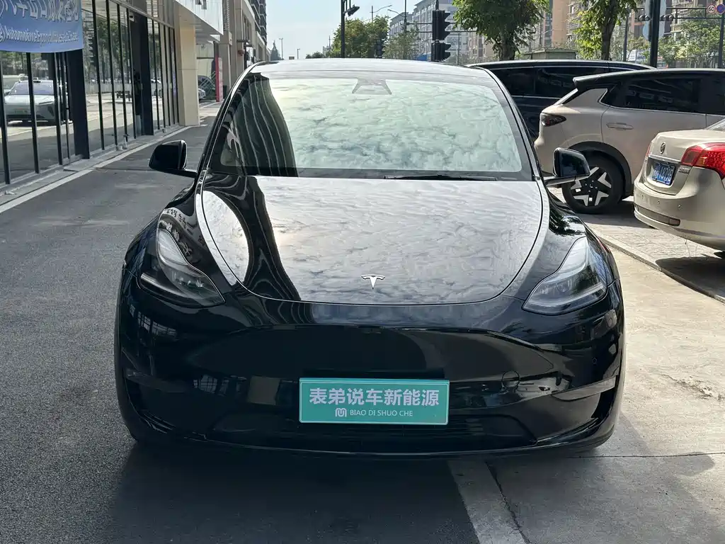 Tesla Model Y — миниатюра 2