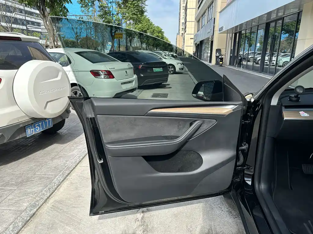Tesla Model Y — миниатюра 13