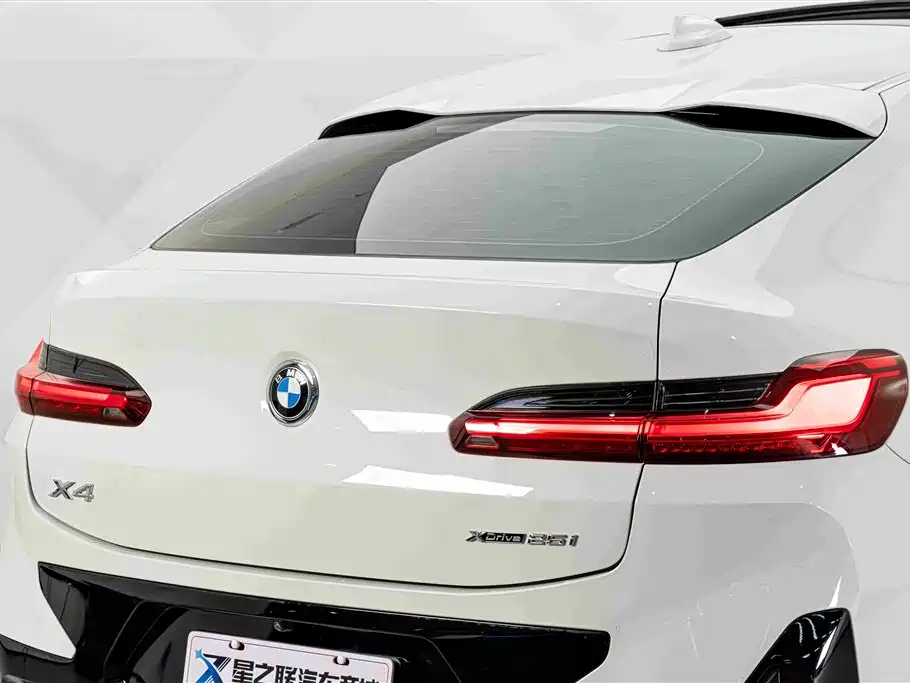 BMW X4 — миниатюра 8