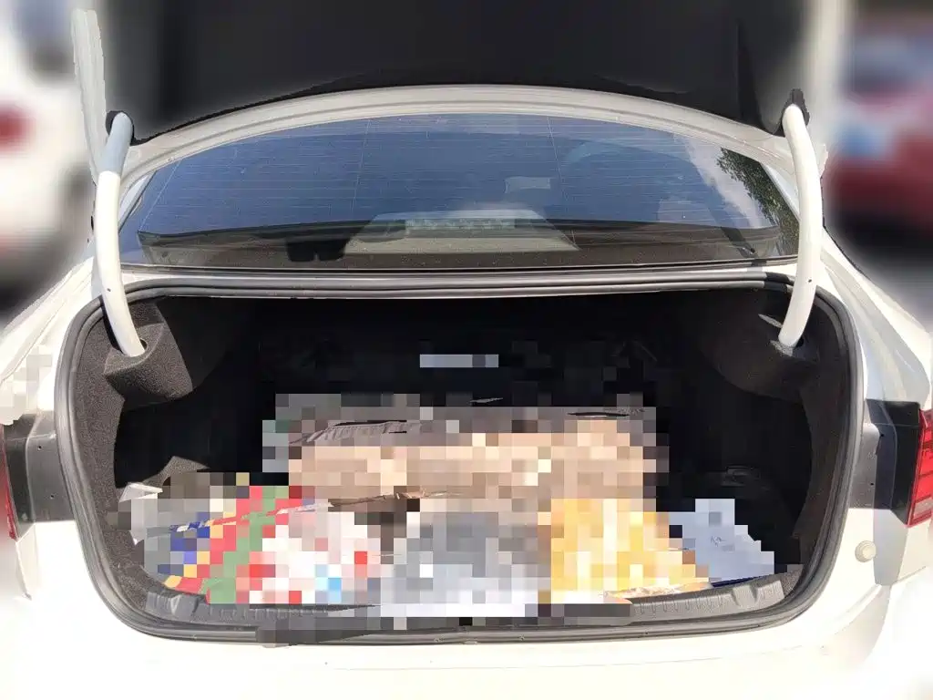 Volkswagen Lamando — миниатюра 15