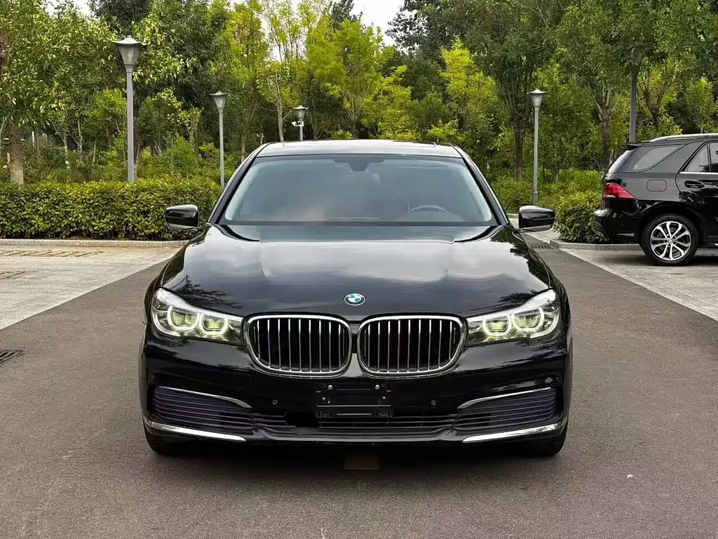 BMW 7 Series 730Li Leading Type, фото 2