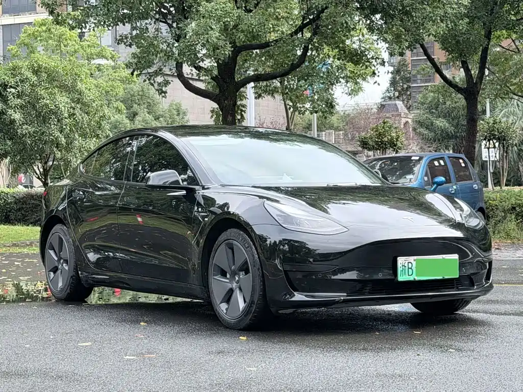 Tesla Model 3 — миниатюра 3