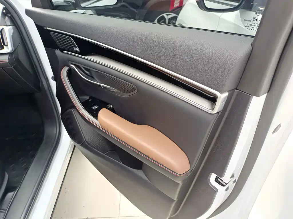 BYD PLUS — миниатюра 9