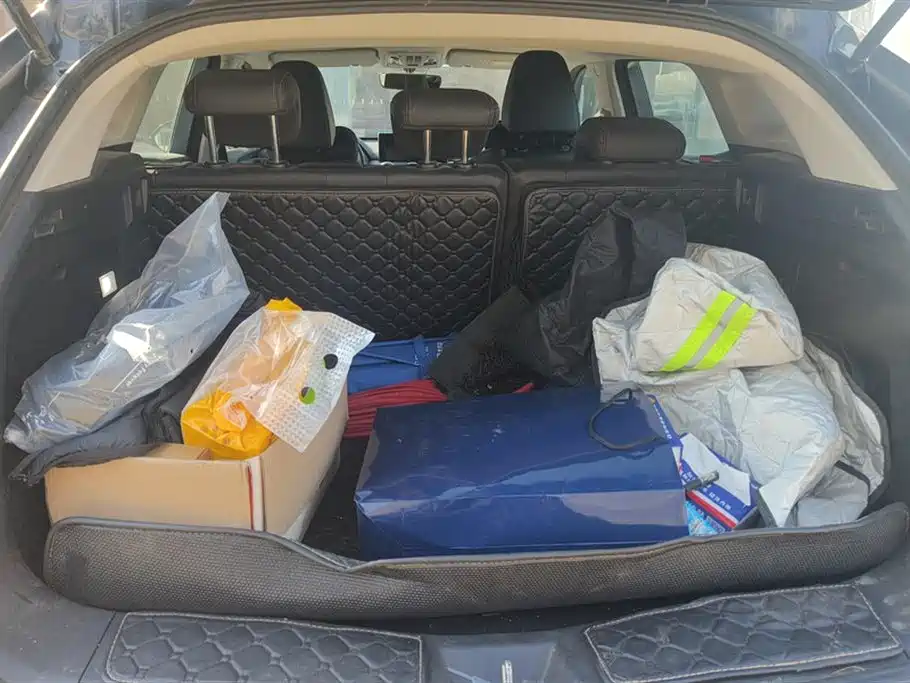 WEI PAI WEI BRAND VV5