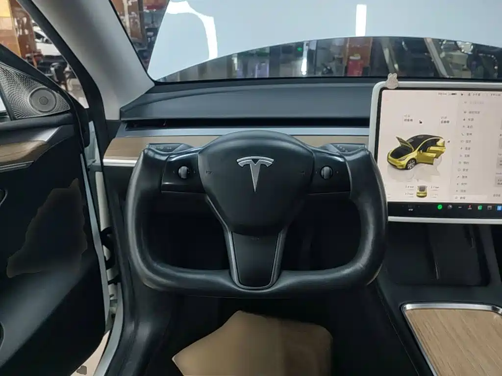 Tesla Model Y — миниатюра 11