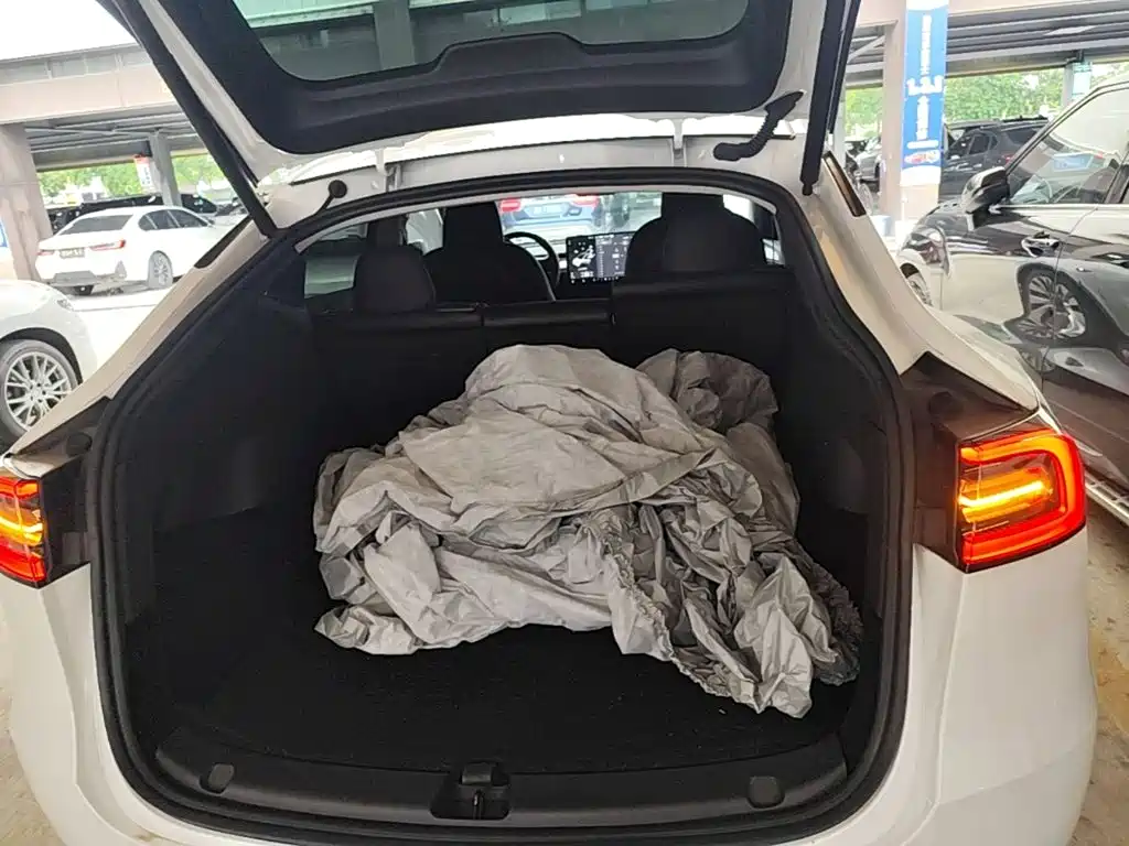 Tesla Model Y — миниатюра 19