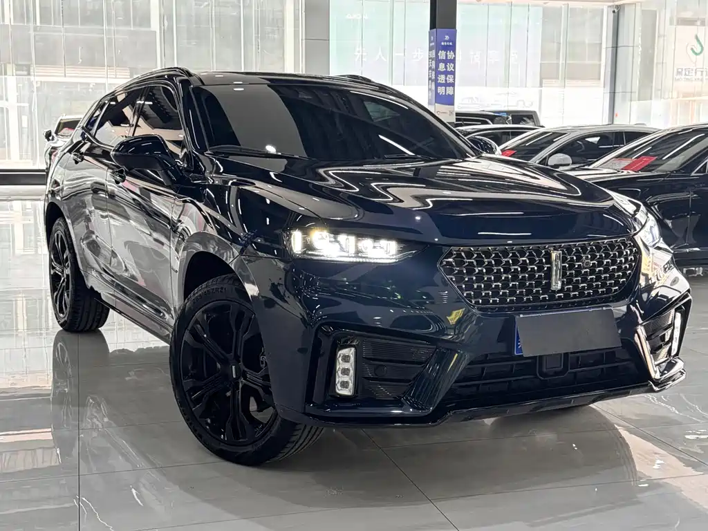 WEI PAI WEI BRAND VV7