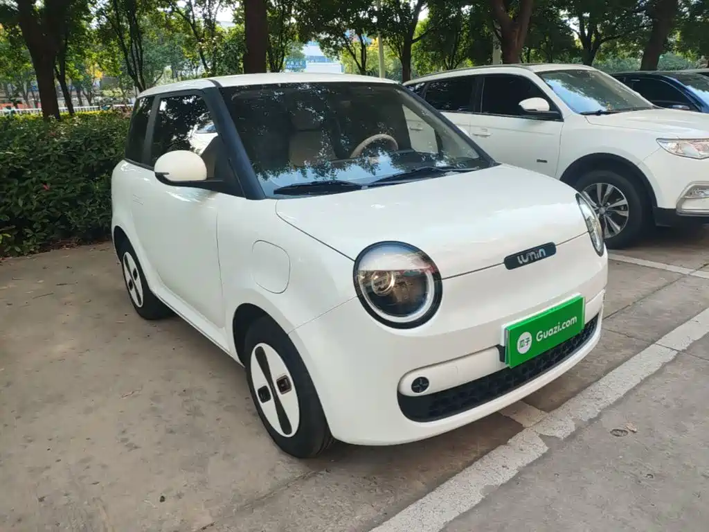 Qiyuan Lumin — миниатюра 4
