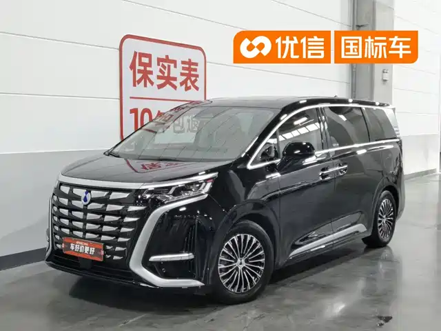 2025 Denza D9