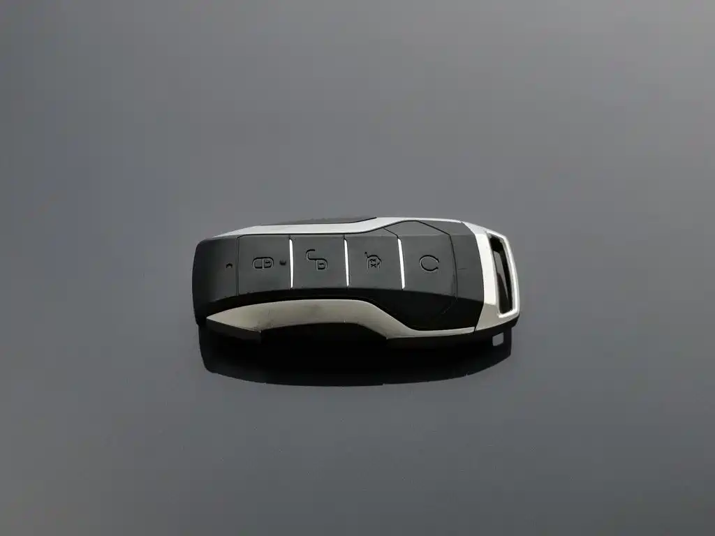 BYD Tang New Energy — миниатюра 19