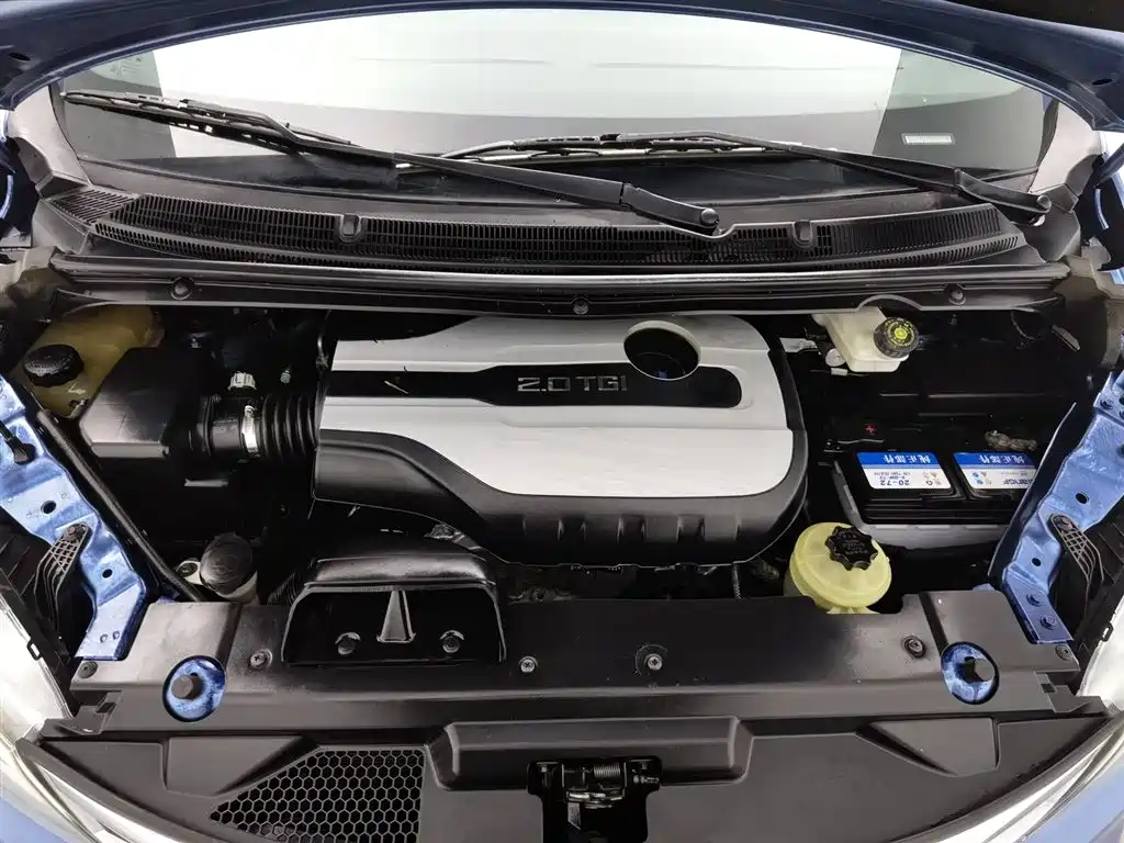 SAIC MAXUS CHASE G10