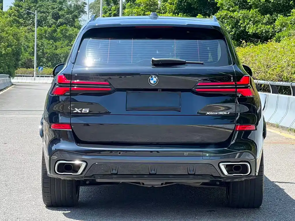 BMW X5 — миниатюра 15