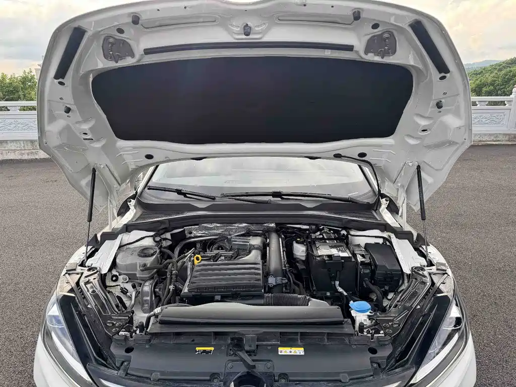 Volkswagen Lamando — миниатюра 20