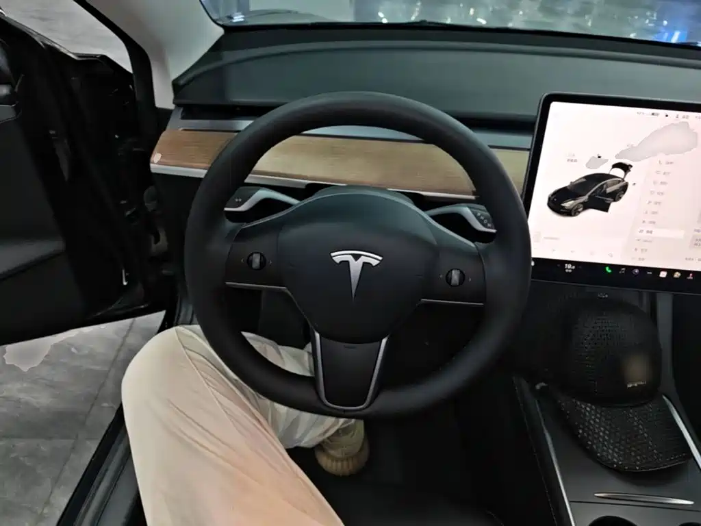 Tesla Model 3 — миниатюра 11