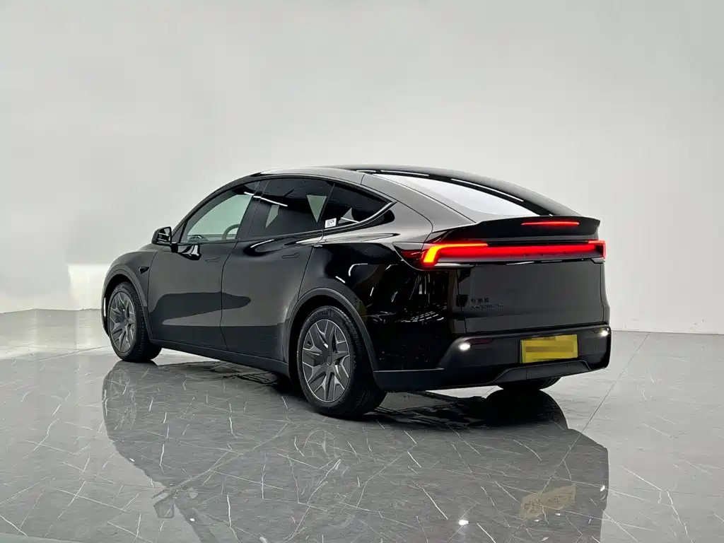 Tesla Model Y L — миниатюра 4