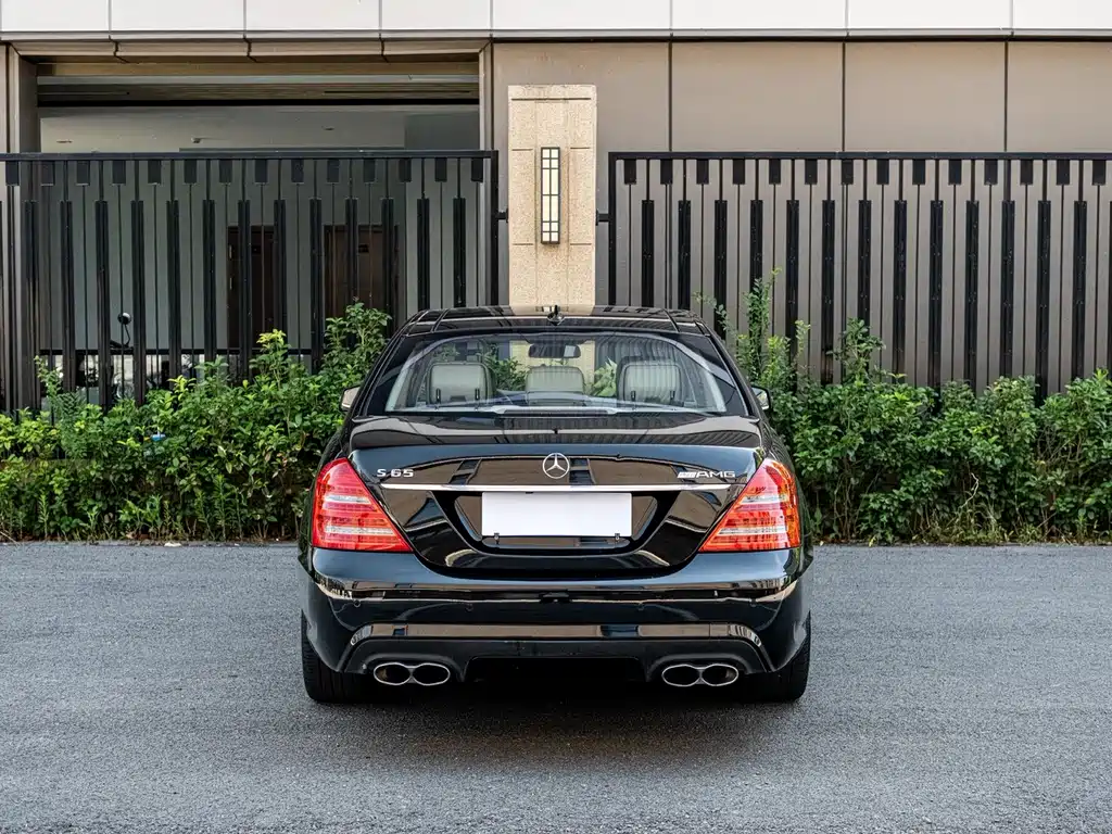 Mercedes-Benz S-Class A MG S AMG 2010 AMG S 65