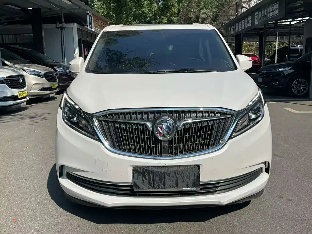 Buick GL8 — миниатюра 2