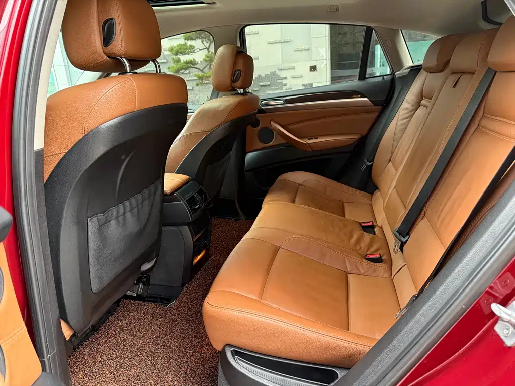 BMW X6 — миниатюра 8