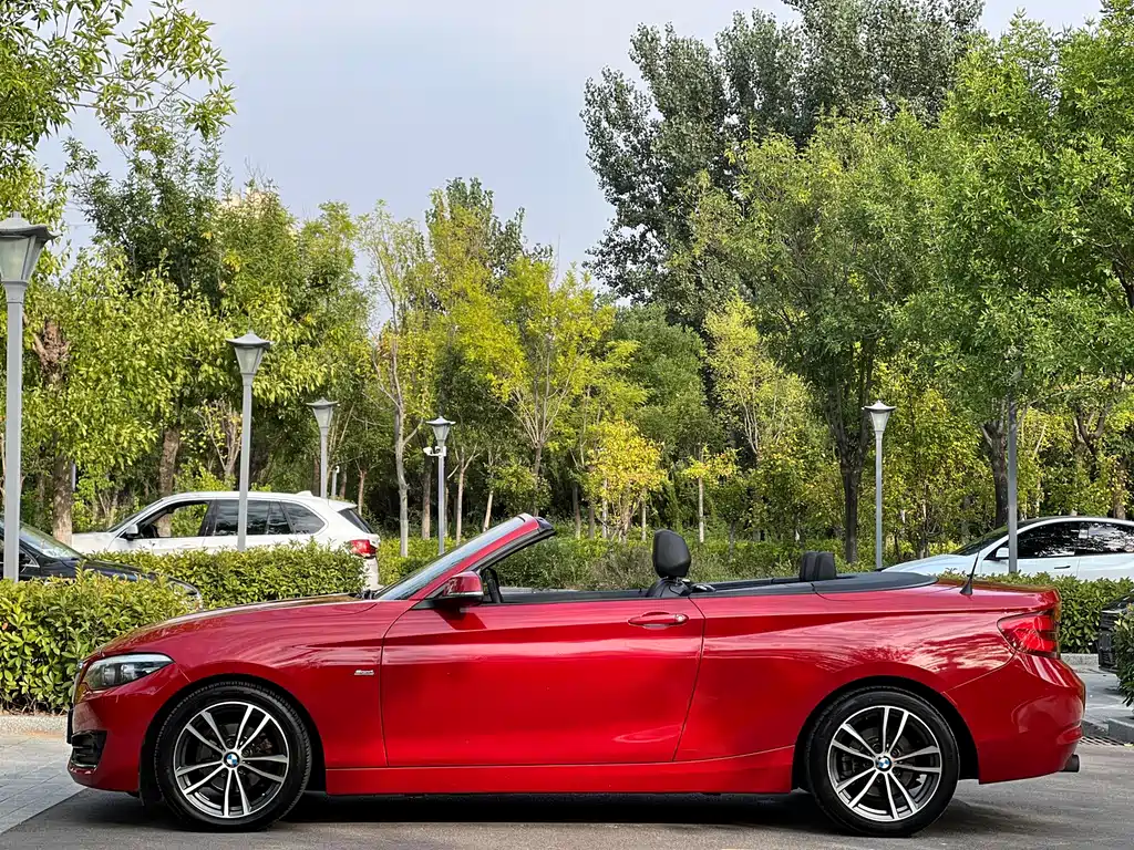 BMW 2 Series (Import) — миниатюра 7