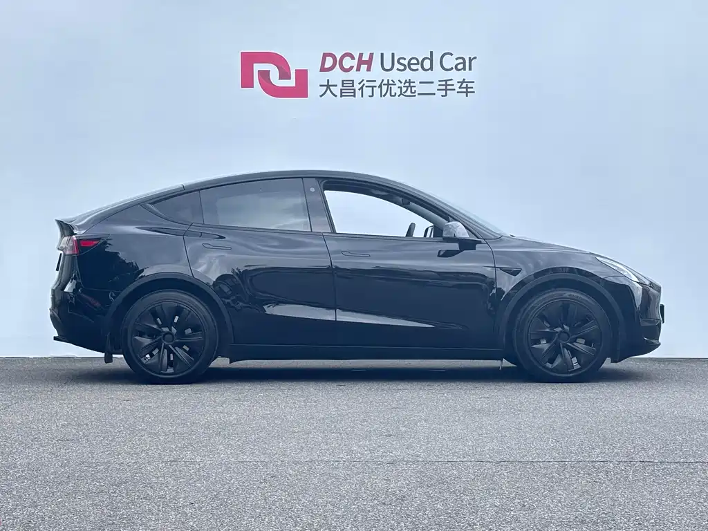 Tesla Model Y — миниатюра 5