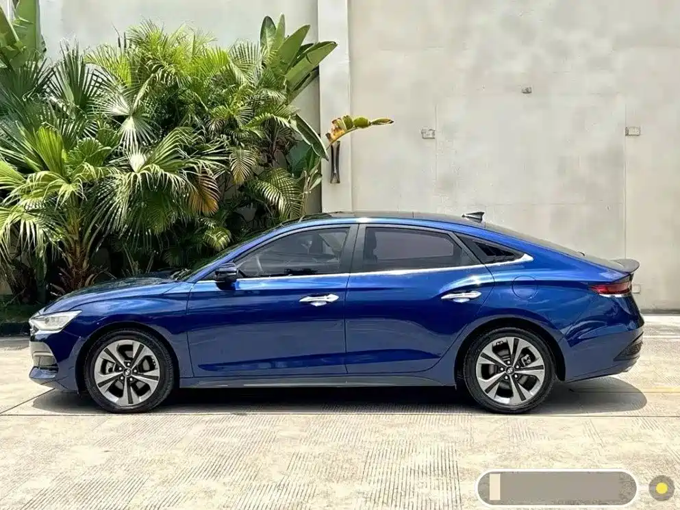 Hyundai Fista — миниатюра 2
