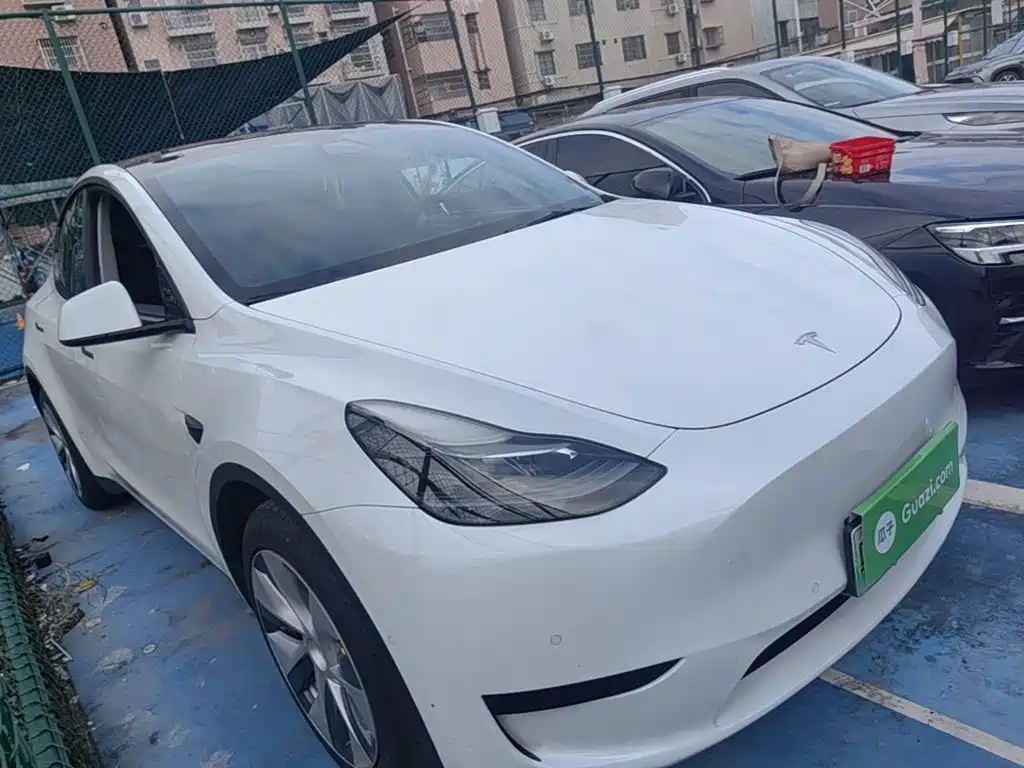 Tesla Model Y — миниатюра 4