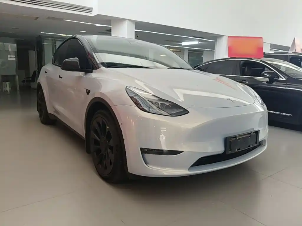 Tesla Model Y — миниатюра 4