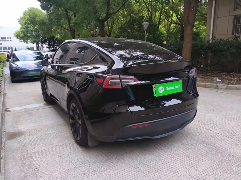 Tesla Model Y — миниатюра 5