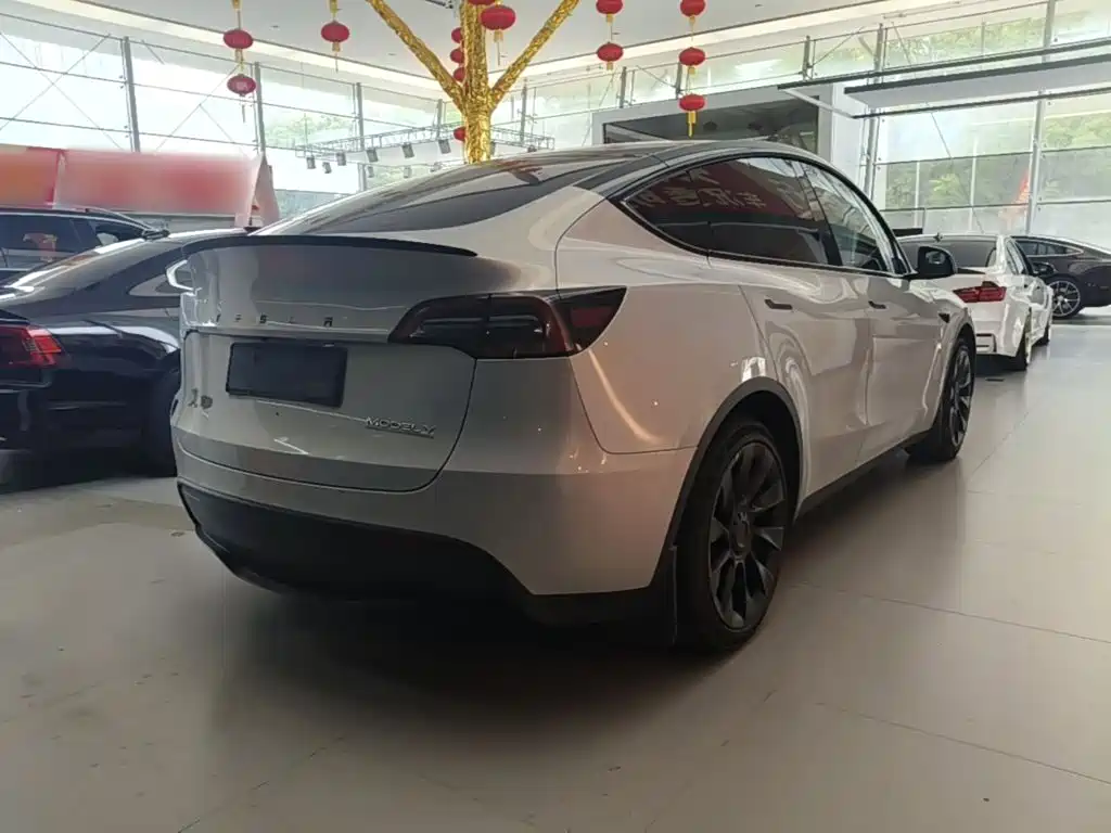 Tesla Model Y — миниатюра 7