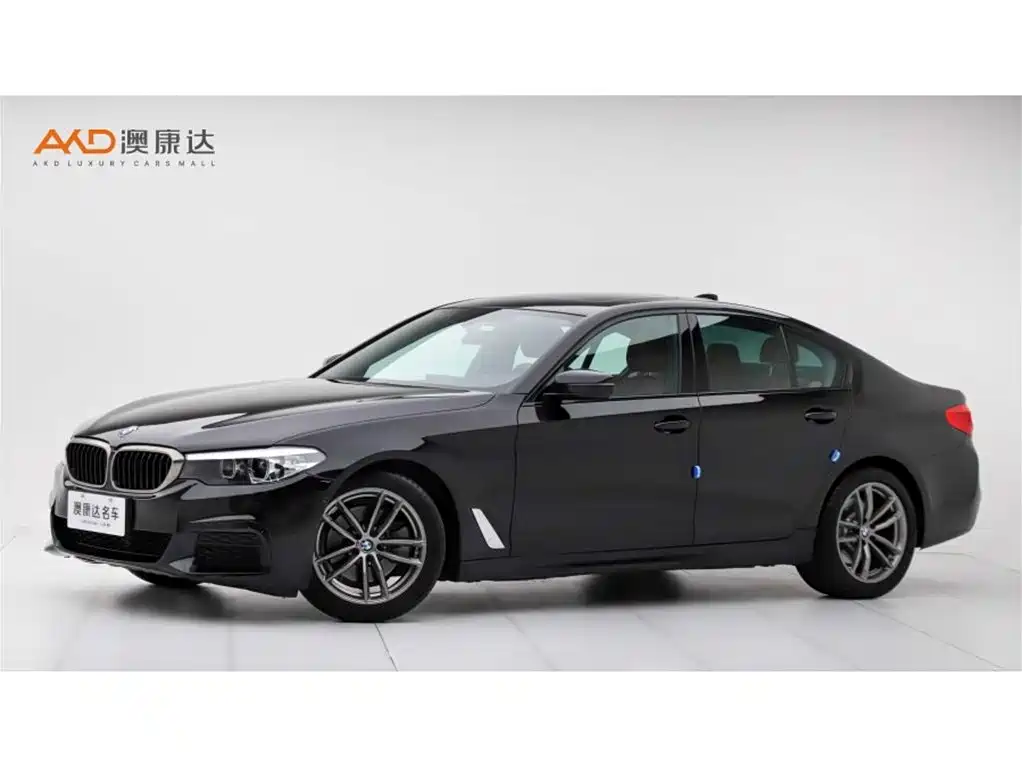 BMW 5 Series (Import) 2019