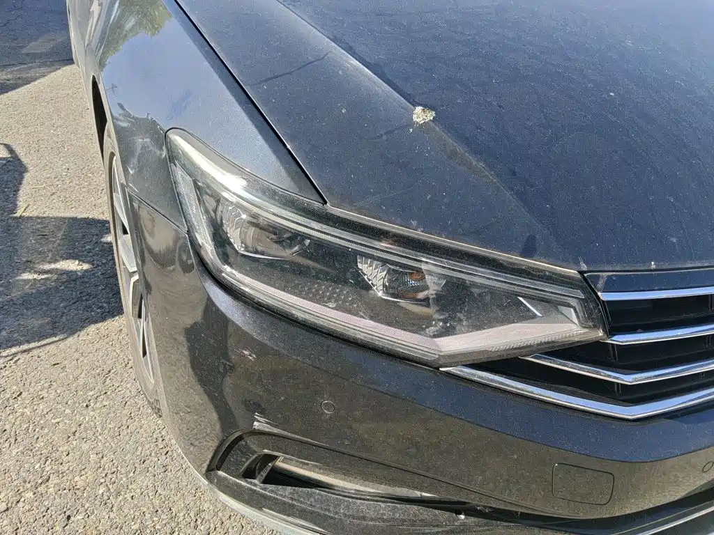 Volkswagen Magotan — миниатюра 7