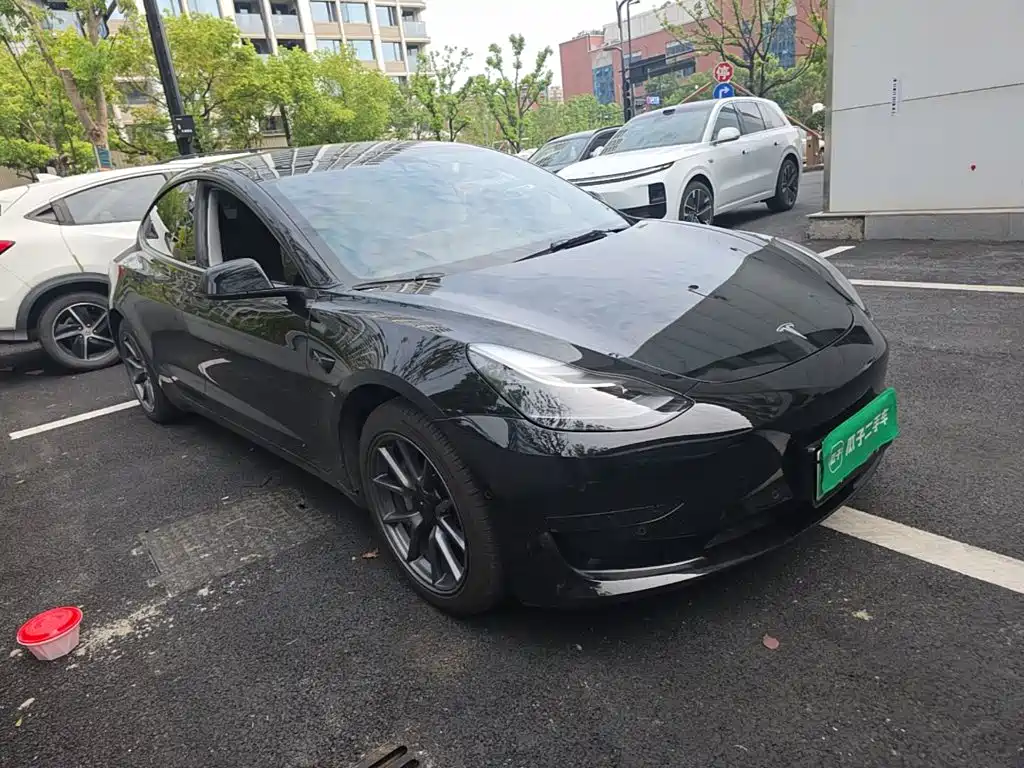 Tesla Model 3 — миниатюра 4