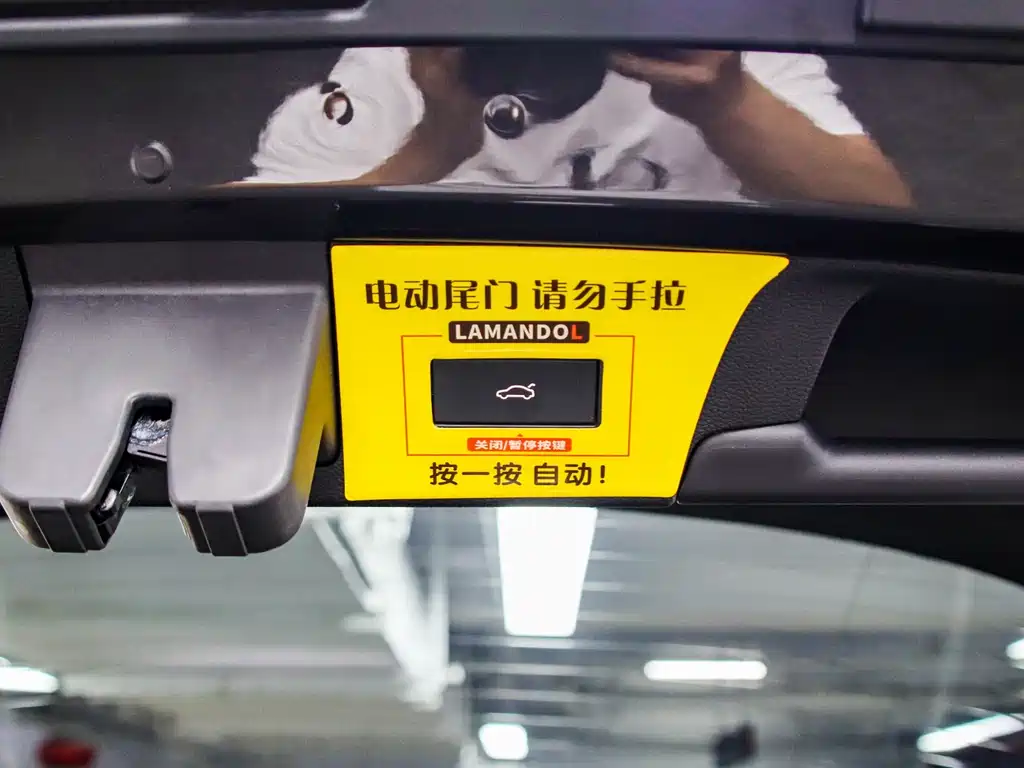 Volkswagen Lamando — фотографии объявления, Фото 18