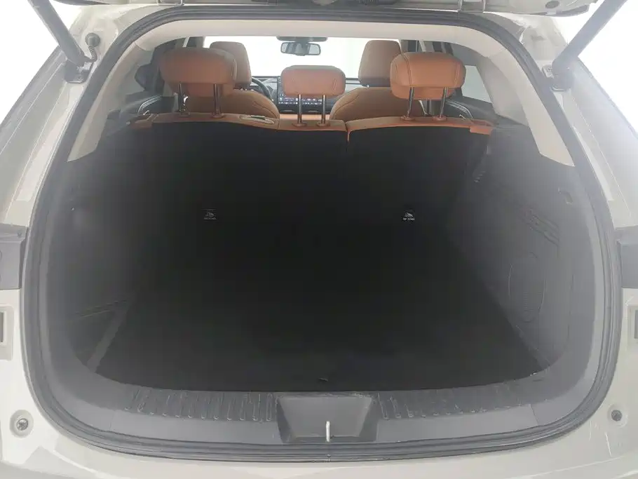 Haval Xiaolong MAX — миниатюра 4