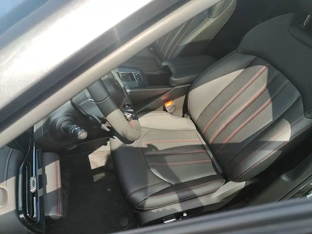 GAC Motor Shadow Leopard — миниатюра 15