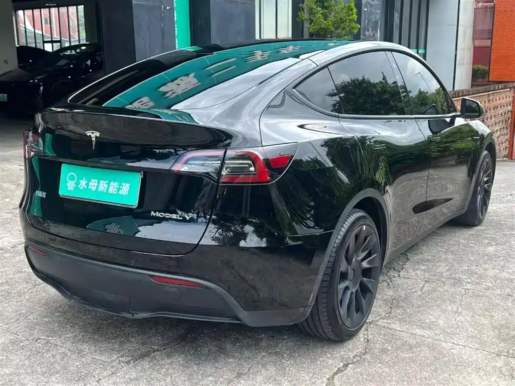 Tesla Model Y — миниатюра 14