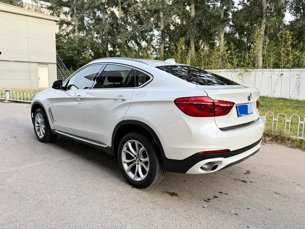 BMW X6 — миниатюра 10