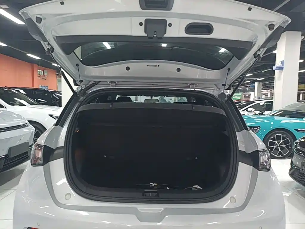 BYD Dolphin — миниатюра 19