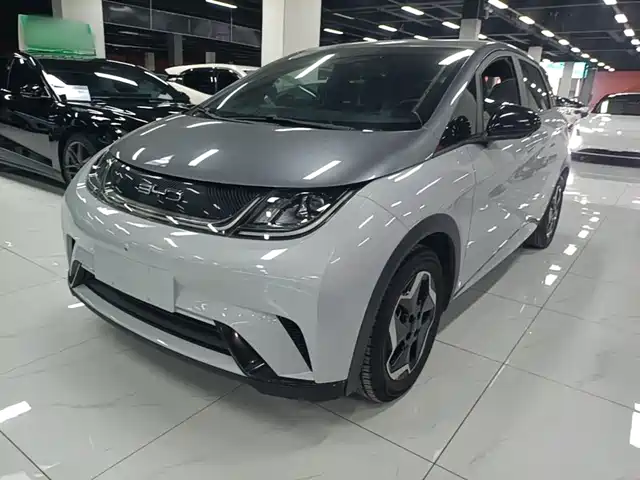 BYD Dolphin