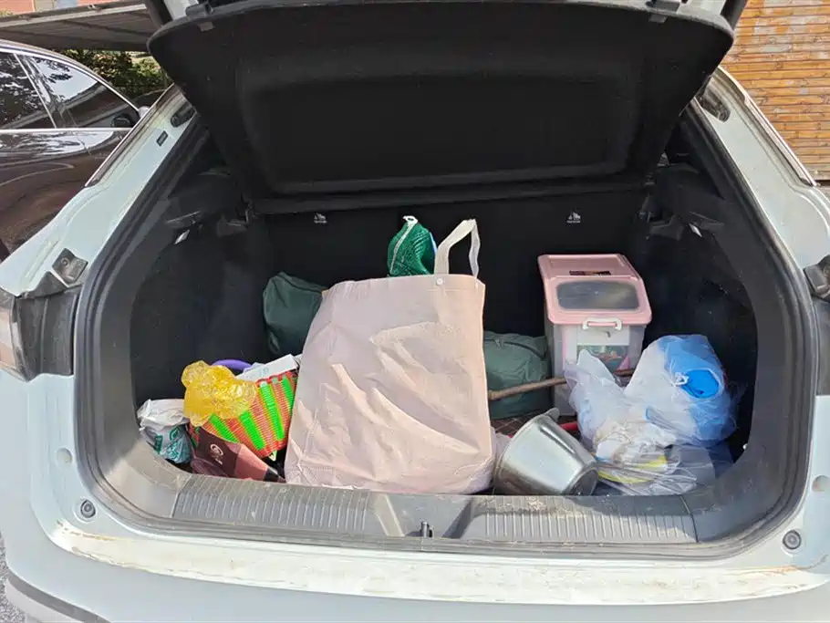 Volkswagen ID.4 X 2023 Smart