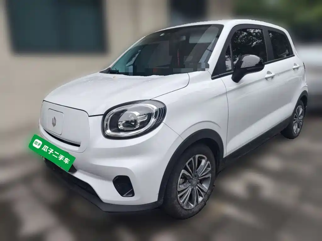 Leapmotor T03 2024 310