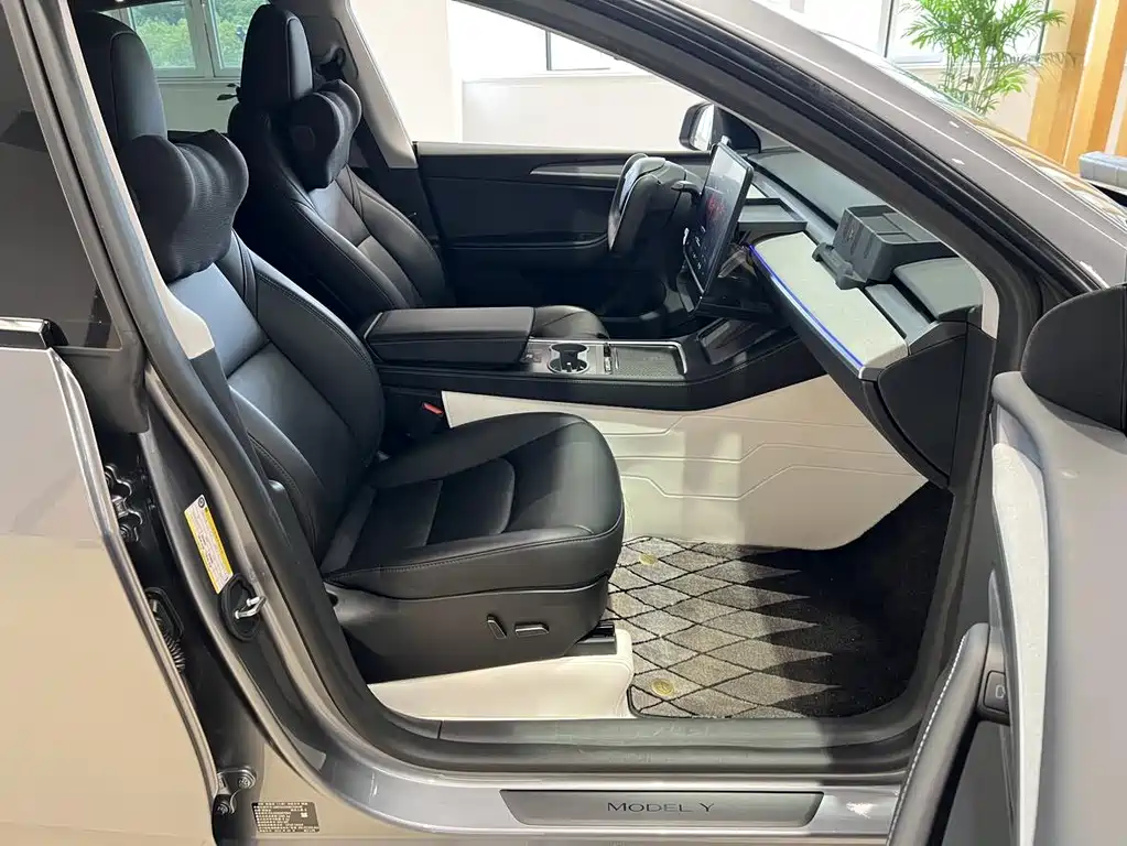 Tesla Model Y — миниатюра 10
