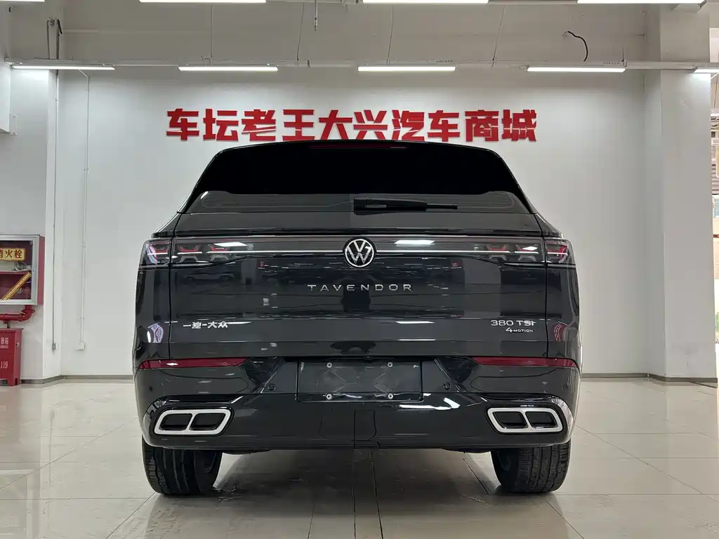 Volkswagen Tavendor — миниатюра 18