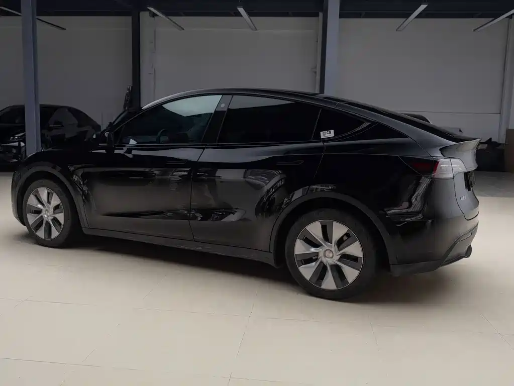 Tesla Model Y — миниатюра 6