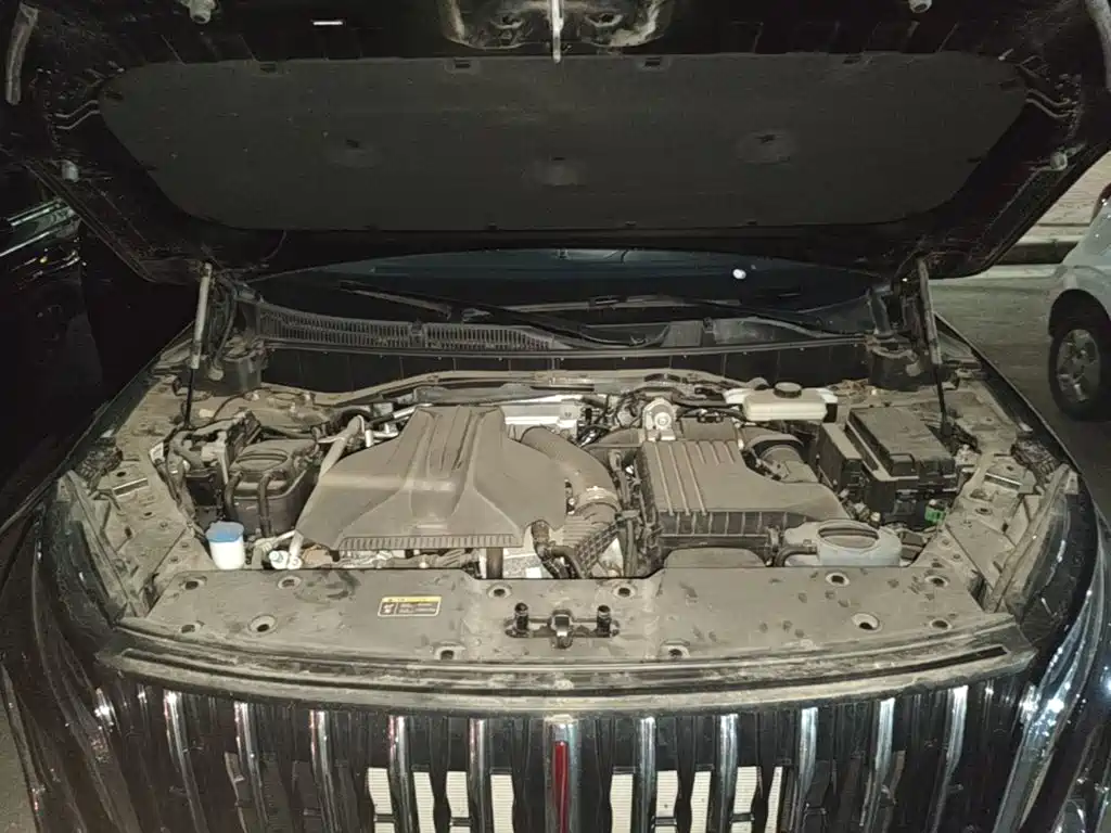 Hongqi Hongqi HS7 PHEV — миниатюра 20