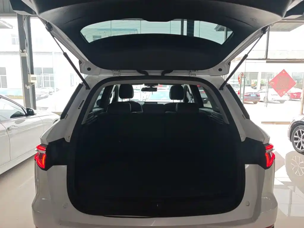 BYD Pro — миниатюра 19