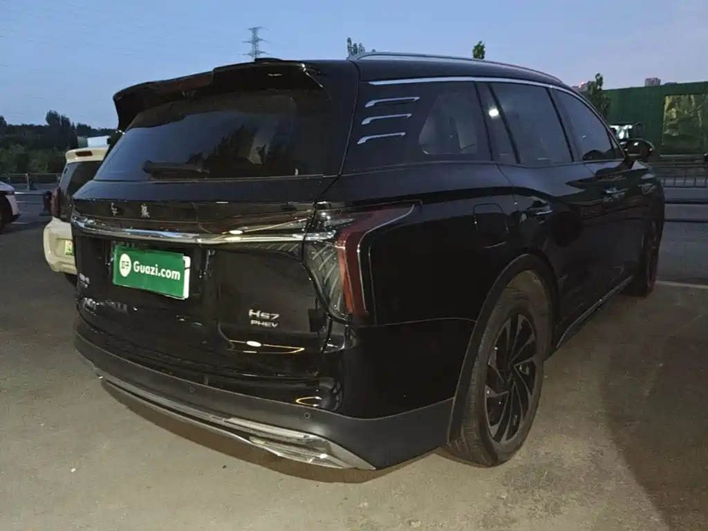 Hongqi Hongqi HS7 PHEV — миниатюра 7